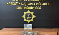 Şanlıurfa'da uyuşturucu operasyonu:2 gözaltı