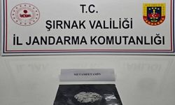 Şırnak'ta jandarmadan kaçakçılık operasyonu: 4 tutuklama