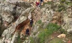 Uçurumdan düşen köpek 4 saatlik çalışmayla kurtarıldı
