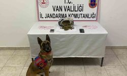 Van'da 1 kilo 64 gram skunk maddesi ele geçirildi