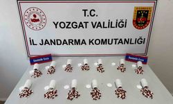 Yozgat'ta toplam 745 adet sentetik ecza hap ele geçirildi