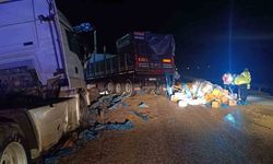 Zirai gübre yüklü tır devrildi: 1 yaralı