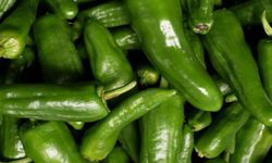 Bakanlıktan biber fiyatlarına inceleme