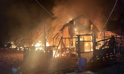 Bursa'da çiftlikte çıkan yangında çok sayıda hayvan telef oldu