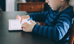 Avusturya'da koalisyon hükümeti, 14 yaş altına sosyal medya yasağı getirilmesinde anlaştı