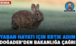Doğader’den yaban hayatına müdahale tepkisi: “Kıyımı değil, yaşamı savunuyoruz”