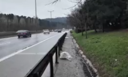 İstanbul'da yol kenarında ölü bebek bulundu