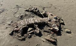 İznik Gölü'ndeki kuraklık tarihi gün yüzüne çıkarıyor