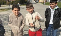 İznik Gölü'nde uzun süre toprak altında kalmış eski mühimmat bulundu