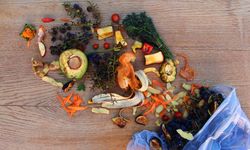 Türkiye'de her yıl 23 milyon ton gıda çöpe gidiyor