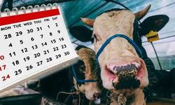 Kurban Bayramı tatili 9 gün mü olacak?