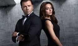 Teşkilat bu akşam var mı?