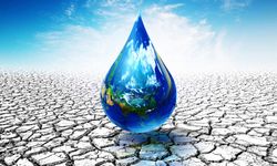 Uludağ’ın Suları Ticarileşiyor: Çevrecilerden Uyarı