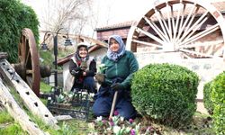 Osmangazi’nin Her Bir Noktası Çiçek Açtı