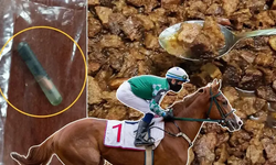 Belediyenin dağıttığı kavurmadan yarış atının çipi çıktı