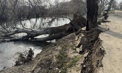 Tunca Nehri kıyısında toprak kayması
