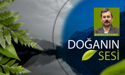 Doğanın Sesi | Bursalılar çevre sorunlarına ne diyor?