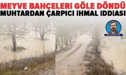 Bursa’da meyve bahçeleri sular altında: “Yıllardır temizlik yapılmıyor!”