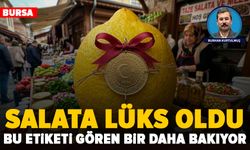 Salata lüks oldu: Bursa’da limon ve marul cep yakıyor, porsiyonlar küçülüyor