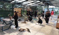 Gençlerden patili canlara ziyaret