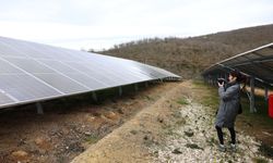 Nilüfer Belediyesi, uluslararası yeşil enerji araştırmasına ev sahipliği yaptı
