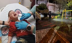 Parkta dehşet! 2 yaşındaki çocuğa bıçaklı saldırı