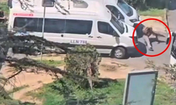 Levent'teki terör saldırganının kan donduran paylaşımı ortaya çıktı! “Allah paramparça olmayı nasip etsin”