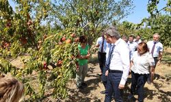 BUÜ, ziraat ve ormancılık alanında dünyada ilk 500’de