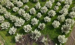 Bursa'da kartpostallık görüntüler