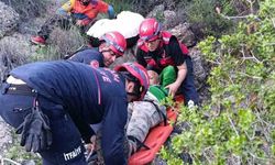 Adana'da yamaç paraşütü kazası: Ağaçta mahsur kaldı