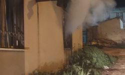 Alrınözü'de ev yangını