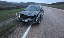 Ankara'da aracın çarptığı geyik telef oldu