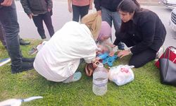 Yürekleri ağza getiren kaza: Aniden yola fırlayan 5 yaşındaki çocuğa otomobil çarptı