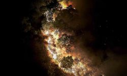 Beykoz'daki orman yangını 9 saatte kontrol alındı