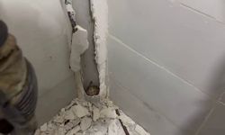 Boruda mahsur kalan kedi duvar kırılarak kurtarıldı