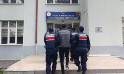 Çankırı'da büyükbaş hayvan çalan şahıslar tutuklandı