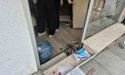 Datça'da Haluk Laçin'e yönelik silahlı saldırıyla ilgili 2 kişi gözaltına alındı