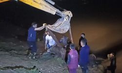 Dicle Nehri'ne düşen ineği itfaiye iş makinesiyle kurtardı