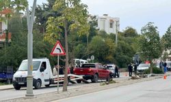 Direksiyon hakimiyetini kaybetti, 2 ağaç ve elektrik direğini yerinden söktü