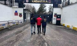 Diyarbakır'da haklarında kesinleşmiş hapis cezası bulunan 153 kişi yakalandı