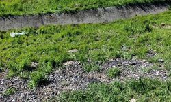 Diyarbakır'da trafik kazası: 1'i ağır 4 yaralı