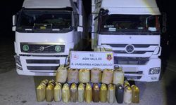 Doğubayazıt'ta kaçak akaryakıt operasyonu: 2 gözaltı