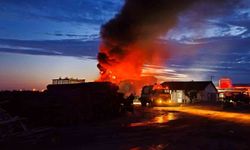 Edirne'de kereste fabrikasında yangın