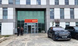 Gülistan Doku soruşturmasında tutuklu sayısı 2'ye yükseldi