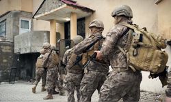 Hakkari'de kaçakçılık şebekesi çökertildi