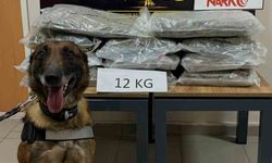 İstanbul'dan Ankara'ya uyuşturucu götürüyordu, Düzce'de yakalandı