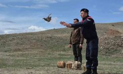 Kars'ta kaçak avcılara darbe: 51 canlı keklik doğaya kazandırıldı
