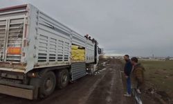Kars'ta yem ve gübre yüklü tır köy yolunda mahsur kaldı