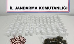 Mardin'de uyuşturucu operasyonu: 1 tutuklama
