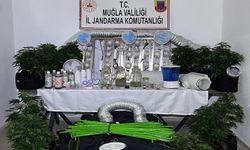 Muğla Jandarmasından zehir tacirlerine Mart ayı darbesi: 173 gözaltı